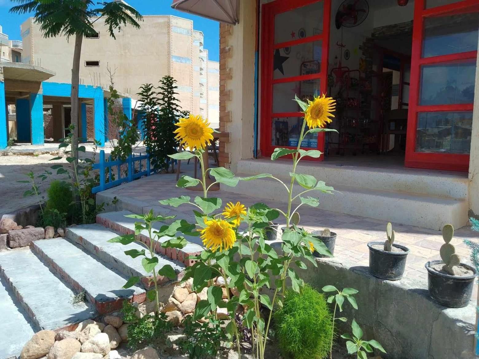 Anglo Chalets - Ageeba Beach Mersa Matruh Exterior foto
